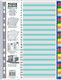Skag Plastic Dividers for Documents A4 with Hol...