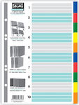 Skag Plastic Dividers for Documents B5 with Holes 10pcs 17x25cm