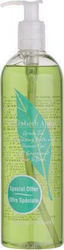 Elizabeth Arden Green Tea Bubble Bath Gel & Green Tea Scent 500ml Elizabeth Arden Green Tea Bubble Bath Gel & Green Tea Scent 500ml