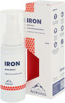 Nordaid Iron Spray 2.5mg 30ml