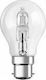 Geyer Halogen Lamp for Socket B22 with Power 53W