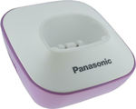 Panasonic Charging Station