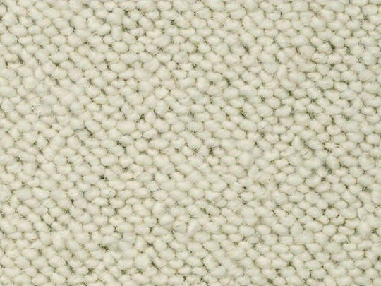 Decostar Carpet Alfa Price Per Meter