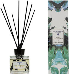 Blue Scents Blue Scents
