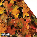 Fabi Cardboard Double Sided Brown Φύλλα 300gr 50x70cm