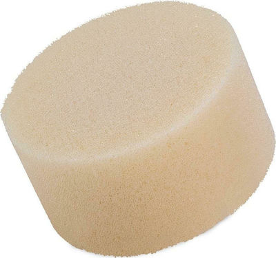 Radiant Professional Synthetic Make Up Sponge for Foundation