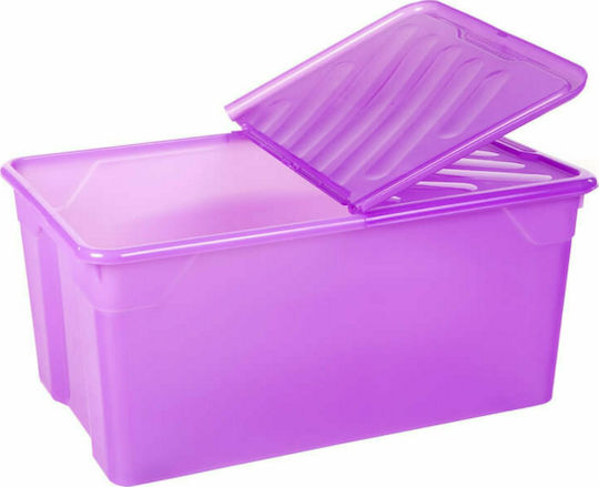 Homeplast Nak Пластмаса Кутия за съхранение с капак Лилав 70x46x34см 1бр