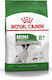 Royal Canin Mini Adult 8+ 2kg Dry Food for Adult Dogs of Small Breeds with Corn, Poultry and Rice