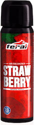 Feral Lufterfrischer-Spray Auto Classic Collection Strawberry 70ml 1Stück