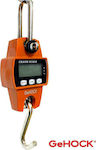 GeHock Electronic with Maximum Weight Capacity of 300kg and Division 200gr