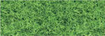 Cardboard Grass 50x68 300gr