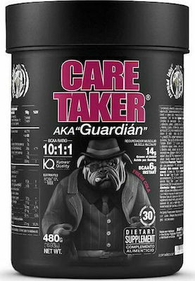 Zoomad Labs Care Taker 480gr Fresh Cola