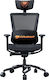 Cougar Argo Fabric Gaming Chair with Adjustable Arms Black