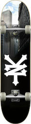 Zoo York Crackerjack Wall Street 8.25" Komplett Kurzboard Mehrfarbig Zoo York Crackerjack Wall Street 8.25" Komplett Kurzboard Mehrfarbig