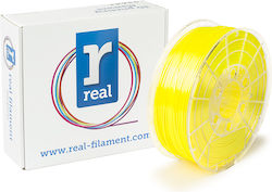 Real Filament NLPLASATIN Real Filament NLPLASATIN