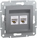 Schneider Electric Asfora Front Double Network Socket RJ45 Cat5 Gray EPH4400162