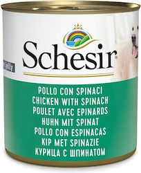 Schesir Hrană Umedă 285gr Schesir Hrană Umedă 285gr