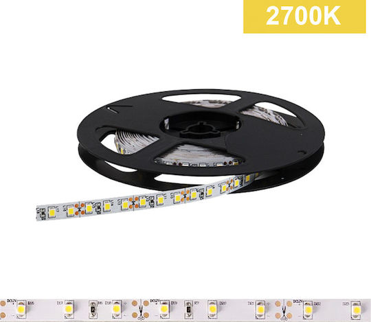 Power Led LED Strip 2RLS482720 12V Warm White Light 5m Type SMD3528