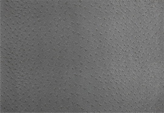 Maxwell & Williams Ostrich Σουπλά Πλαστικό Γκρι 45x30cm