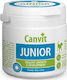 Canvit Junior Προβιοτικά Σκύλου σε Δισκία 100 tabs για Αρθρώσεις