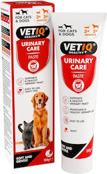 VetIQ Urinary Care Paste Paste Multivitamins for Dogs and Cats 100gr for Urinary/Kidney