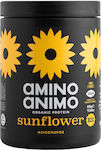 Physis Laboratory Amino Animo Sunflower Χωρίς Γλουτένη & Λακτόζη 500gr