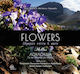 Flowers Olympus terra and mare