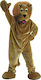 Carnival Costume Mascot Lion