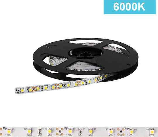 Power Led Ταινία LED 2RLS48652024 24V Ψυχρό Λευκό Φως 5m Τύπου SMD3528