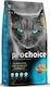 Prochoice Pro 34 Adult Суха Храна за Възрастни Котки с Сьомга 2кг