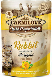 Carnilove Pouches 85gr Carnilove Pouches 85gr