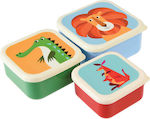 Rex London Kids Set Lunch Plastic Box Multicolour