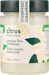 Citrus Ypovrichio Μαστίχας Χίου 360gr