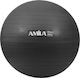 Amila Μπάλα Pilates 55cm, 1kg σε Μαύρο Χρώμα