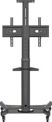 KALOC KLC-161 Βάση Τηλεόρασης Δαπέδου έως 65"