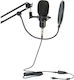 LTC Audio STM200-PLUS Σετ Πυκνωτικό Μικρόφωνο Επιτραπέζιο για Φωνητικά