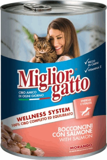 Morando Miglior Gatto Wellness Wet Food for Adult Cats in Cans with Salmon 405gr
