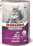 Morando Professional Wet Food for Adult Cats In Can with Lamb Πατέ 1pc 400gr