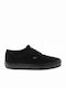 Vans Doheny Sneakers Black