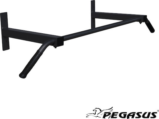 Pegasus Wall Pull-Up Bar for Maximum Weight 100kg