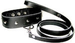 Sportsheets Leather Leash & Collar