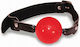 Sportsheets Solid Red Ball Gag Cagulă în Culoare Roșu