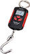 Electronic Professional Hanging Scale with Weighing Capacity of 200kg and Division 50gr