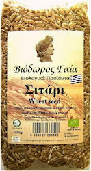 Viodoros Gaia Seeds Wheat Wheat 500gr