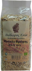 Βιόδωρος Γαία Μούσλι Rich Mix 350gr Βιόδωρος Γαία Μούσλι Rich Mix 350gr