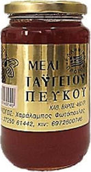 Fotopoulos CHaralampos Honey Pine 460gr