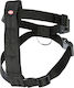 Trixie Seatbelt Car for Dog Medium 50-70cm Black