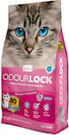 Intersand Odourlock Clumping Odour Control Cat Litter Baby Powder 6kg 036130