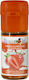 Flavour Art Flavour Juicy Strawberry 10ml 1pcs