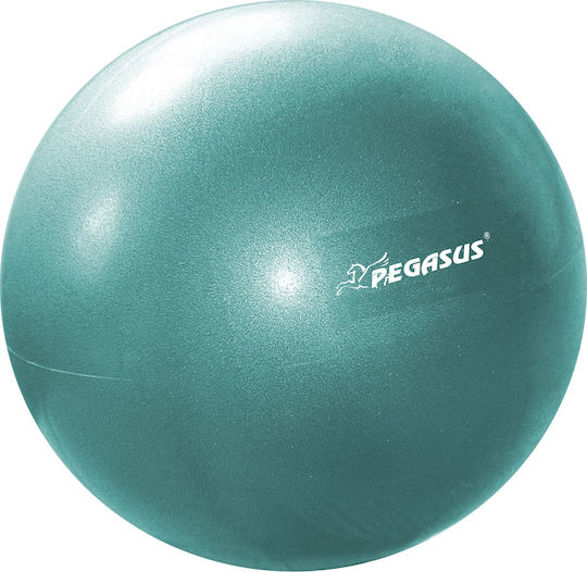 Pegasus Mini Bälle Pilates 25cm 0.19kg in Grün Farbe